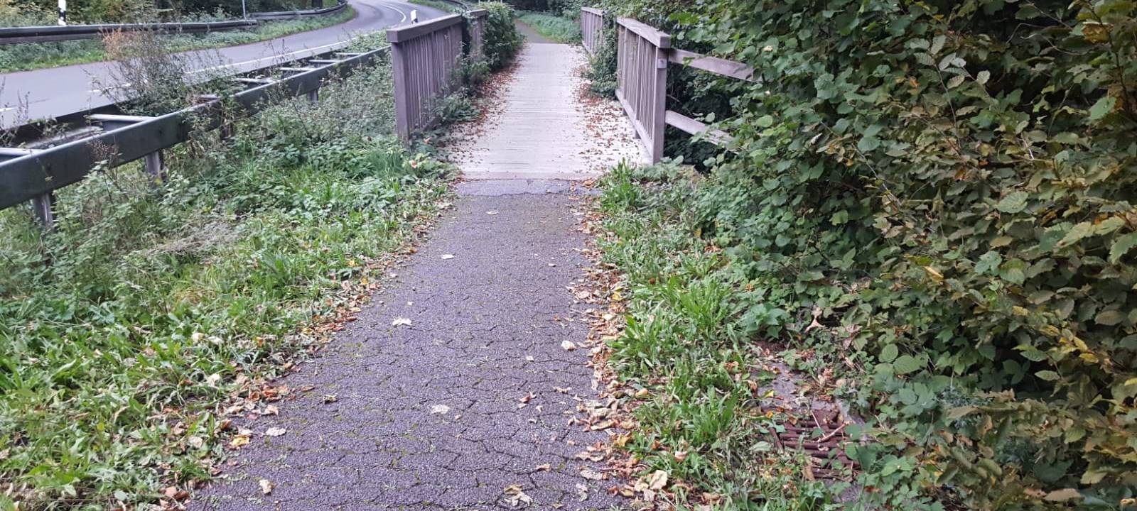 DÜLMEN: Ärger über zugewucherten Radweg