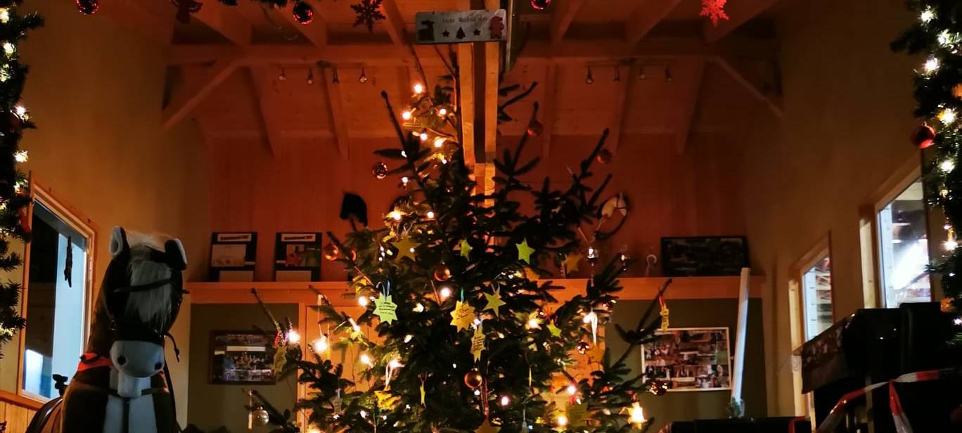 KREIS: Weihnachtsbaum-Aktion in Olfen startet doch