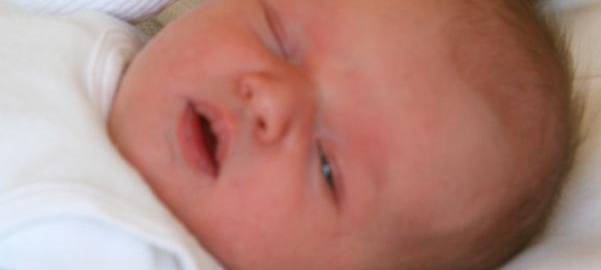 KREIS: Babys boomen