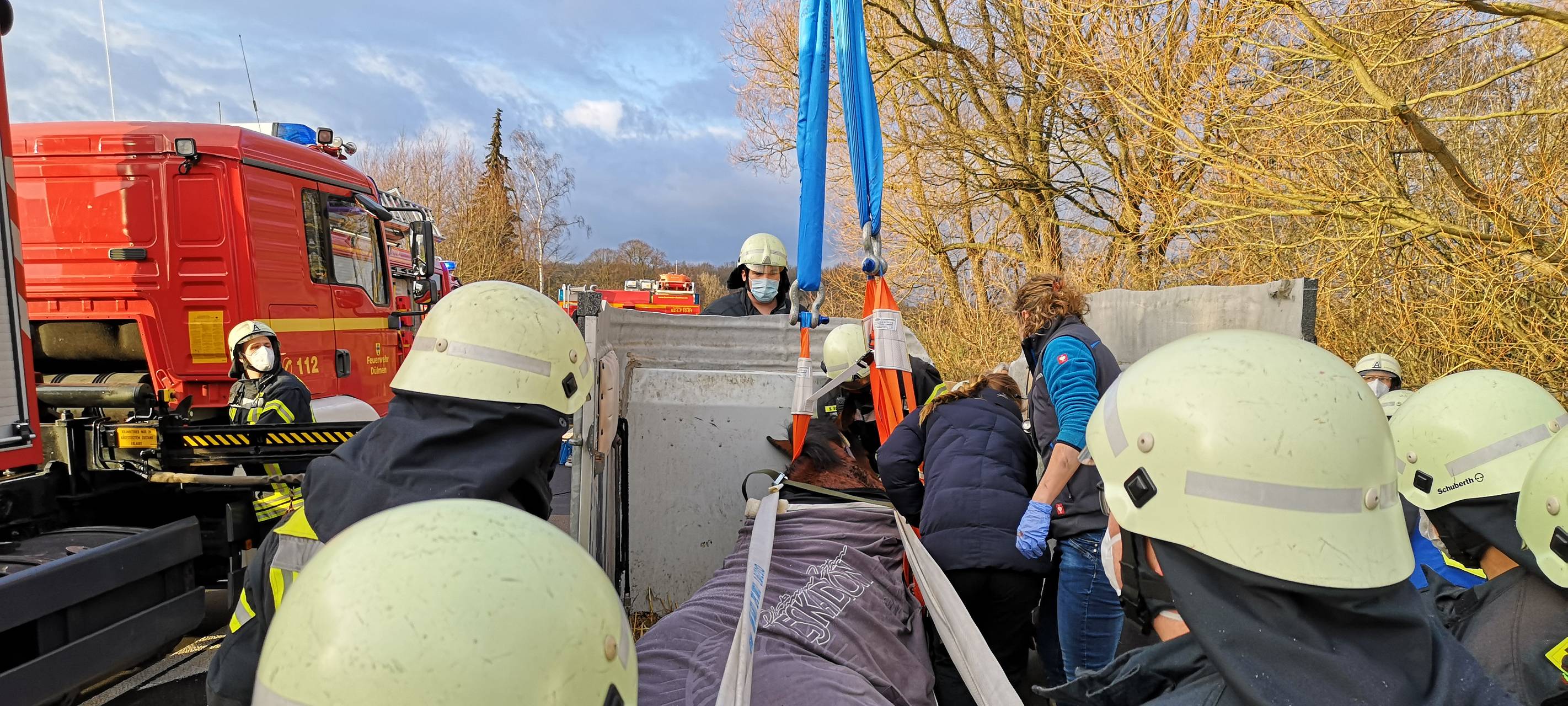 DÜLMEN: Gestürztes Pferd sorgt für Feuerwehreinsatz