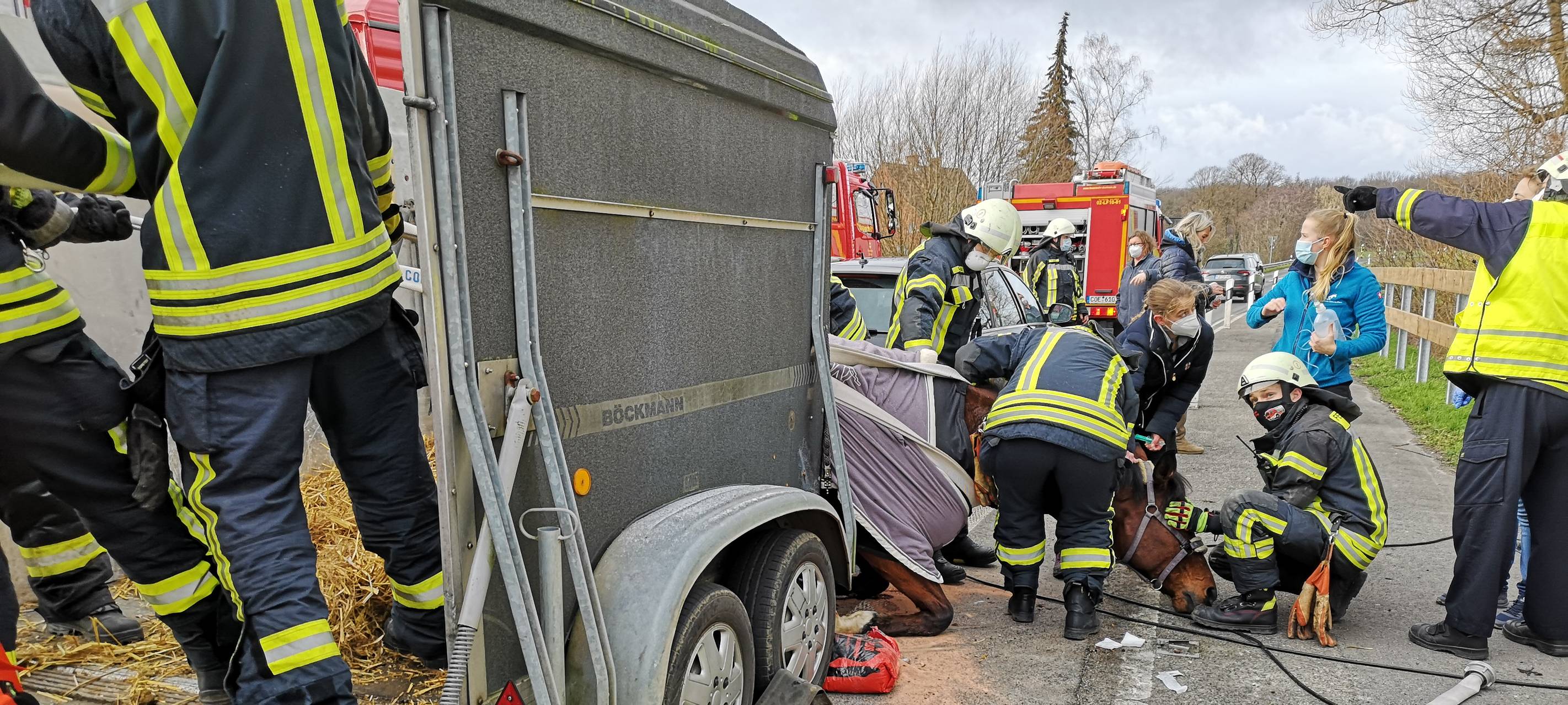 DÜLMEN: Gestürztes Pferd sorgt für Feuerwehreinsatz