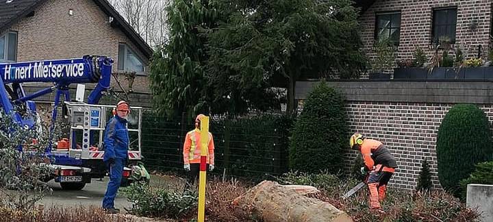 NORDKIRCHEN: Diskussion über gefällt Platanen