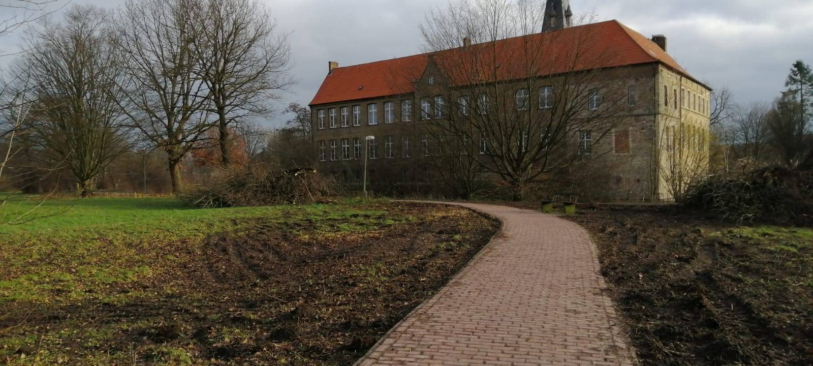 LÜDINGHAUSEN: Ärger über gefällte Bäume