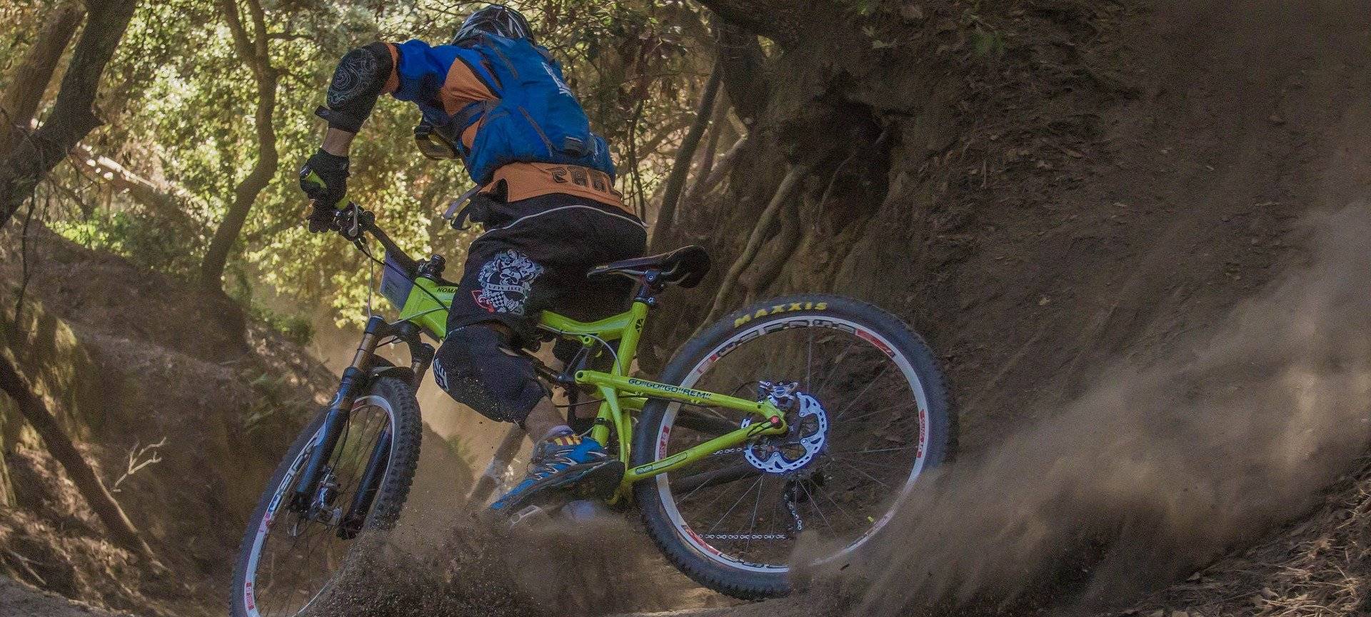 KREIS: Mountainbiker stören seltene Tiere