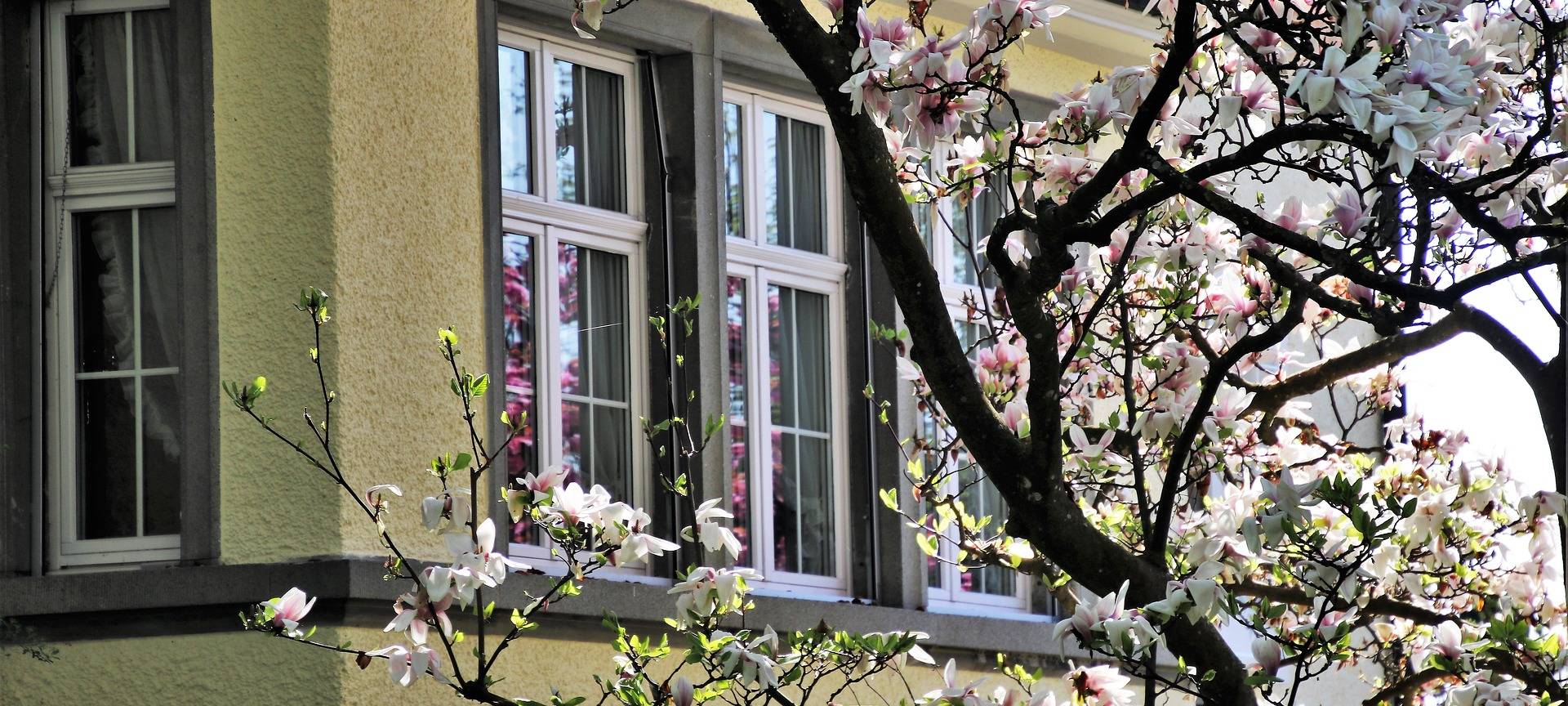 KREIS: Frühlingswetter - Gartencenter kommen kaum hinterher