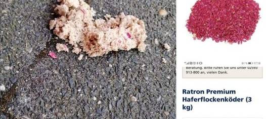 ASCHEBERG: Giftköder gefunden