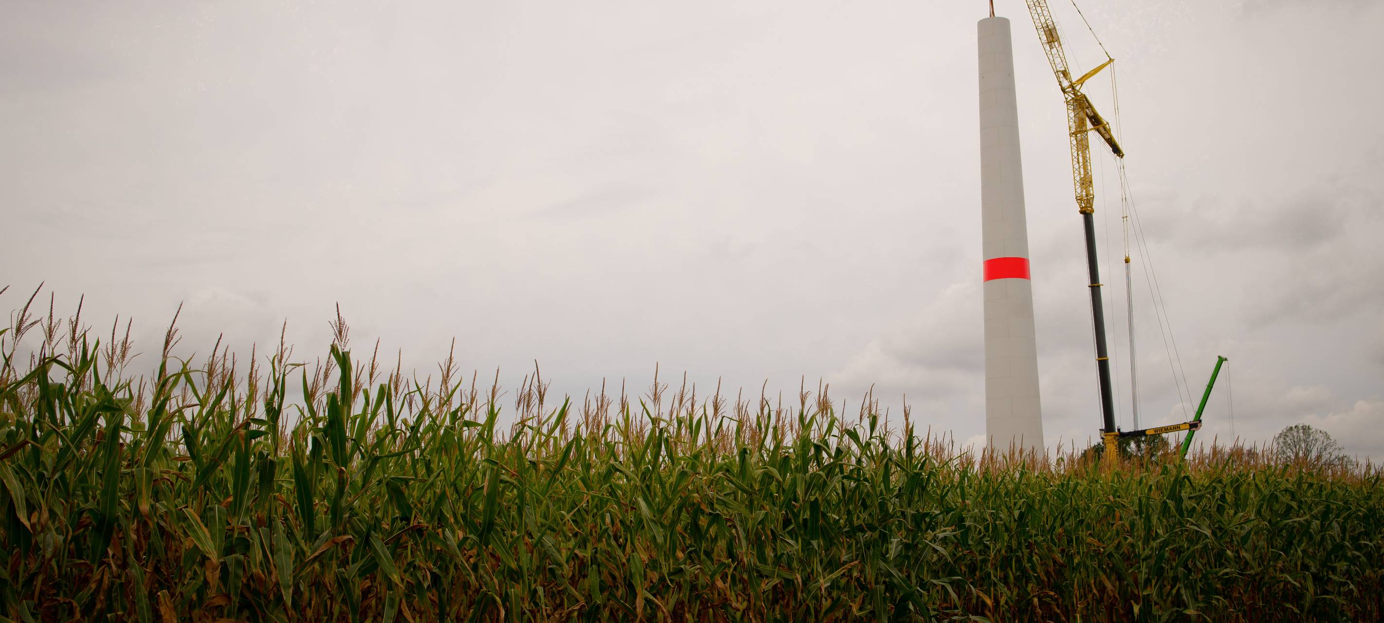 COESFELD: Großes Interesse am Windpark