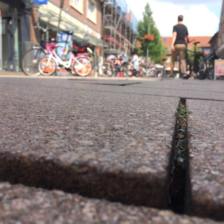 Dulmen Drogerie Muller Bestatigt Schliessungsplane Radio Kiepenkerl Drogerie Müller Kalender 2022