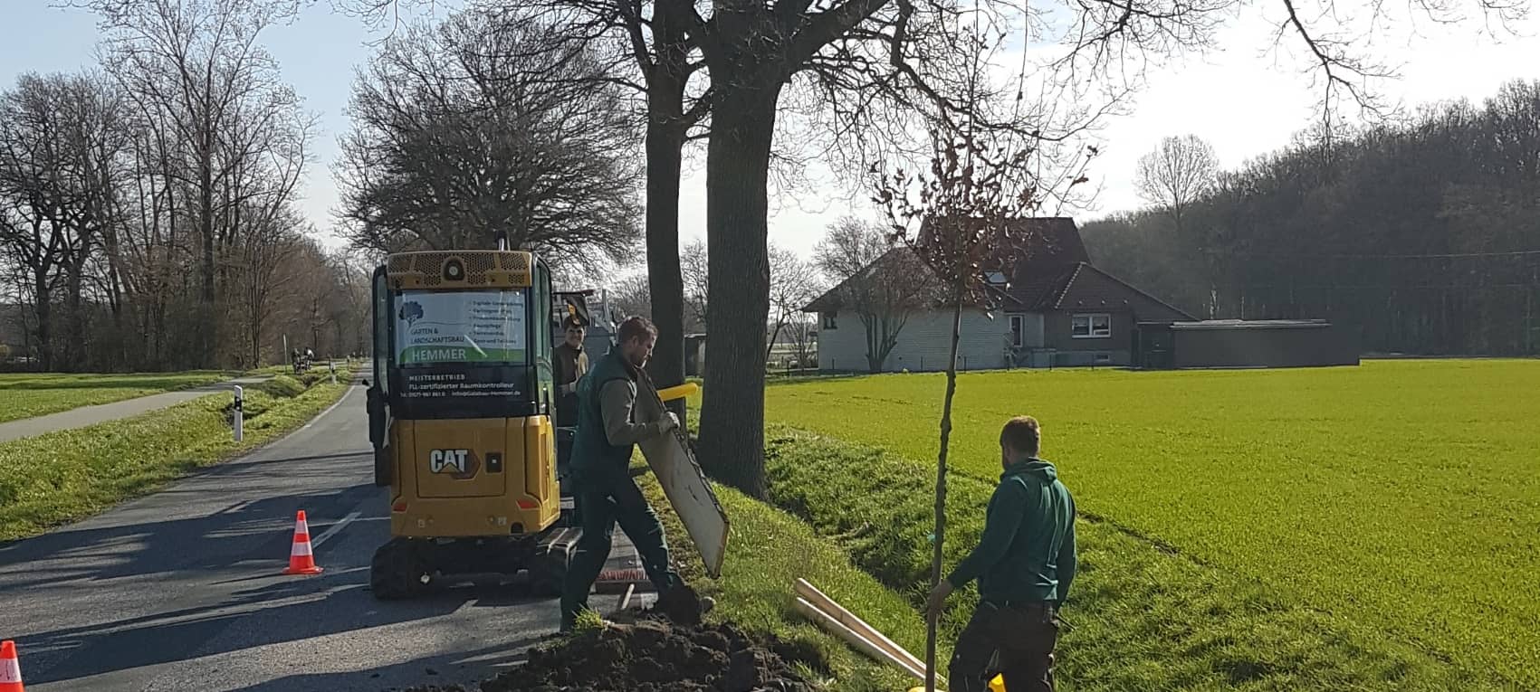 KREIS: Neue Bäume an Straßenrändern