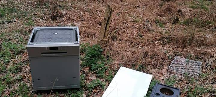 COESFELD: Wilde Müllkippe am alten Forsthaus