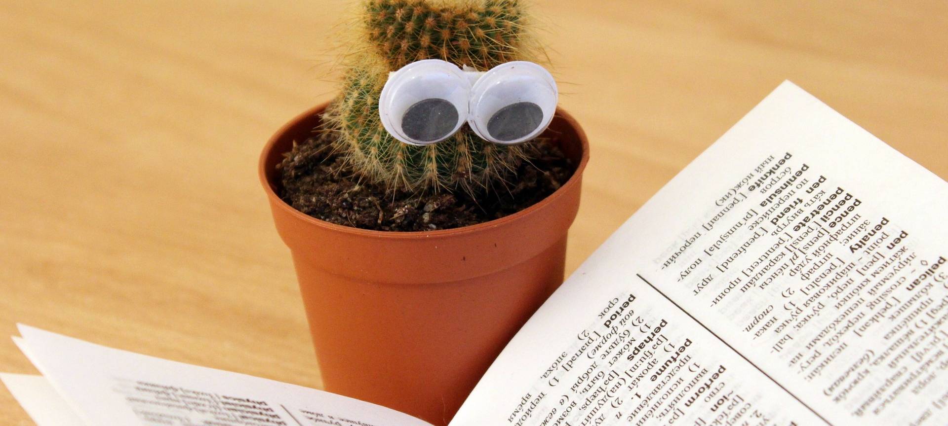 HAVIXBECK: Azubi von Landwirtschaftskammer geehrt