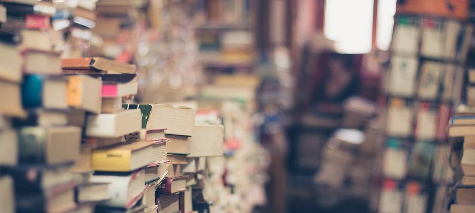 KREIS: Gesteigerte Lese-Lust in diesen Zeiten