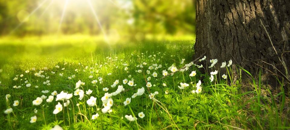KREIS: Jugendliche stärker an Natur interessiert