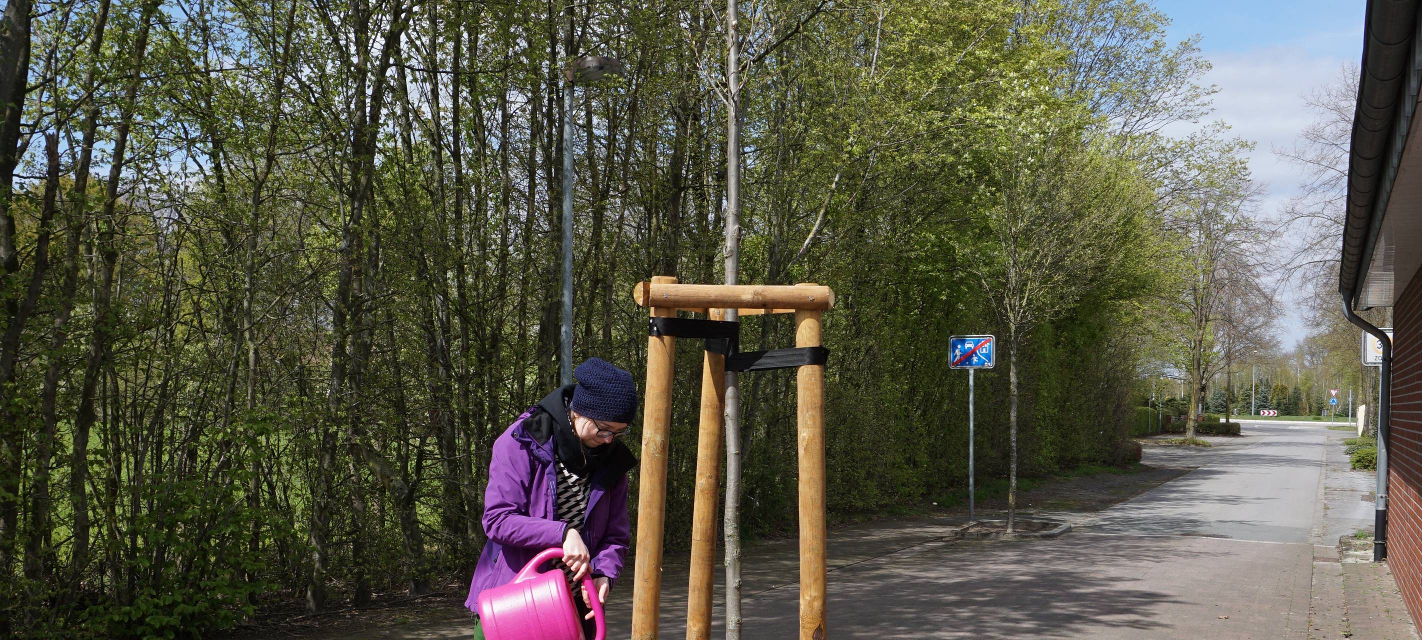 DÜLMEN: Stadt sucht Baum-Kümmerer