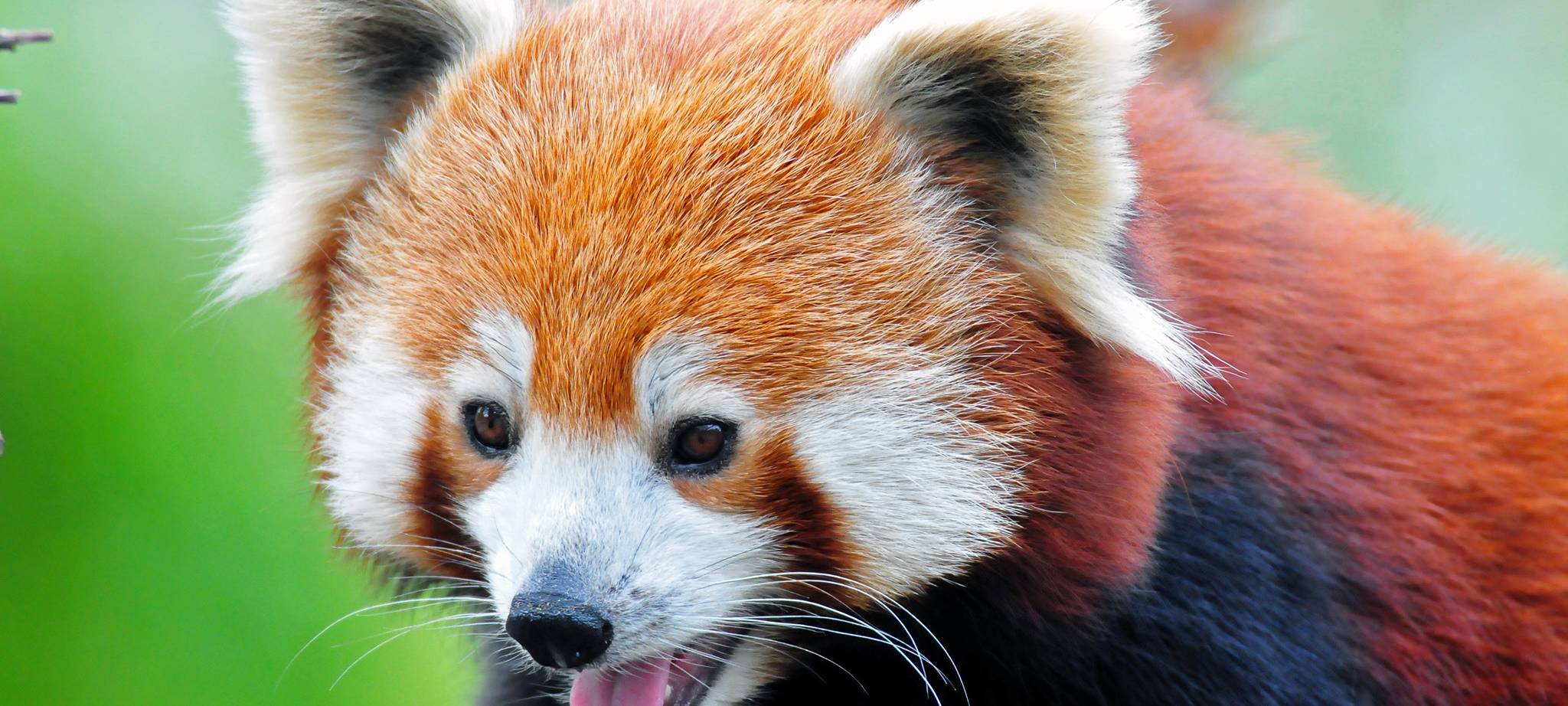 MÜNSTER: Neue Bewohner im Allwetterzoo