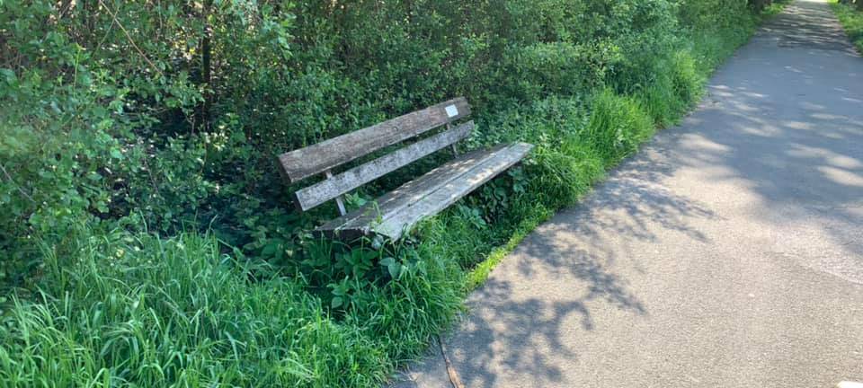 Lüdinghausen: Steverradweg zugewuchert