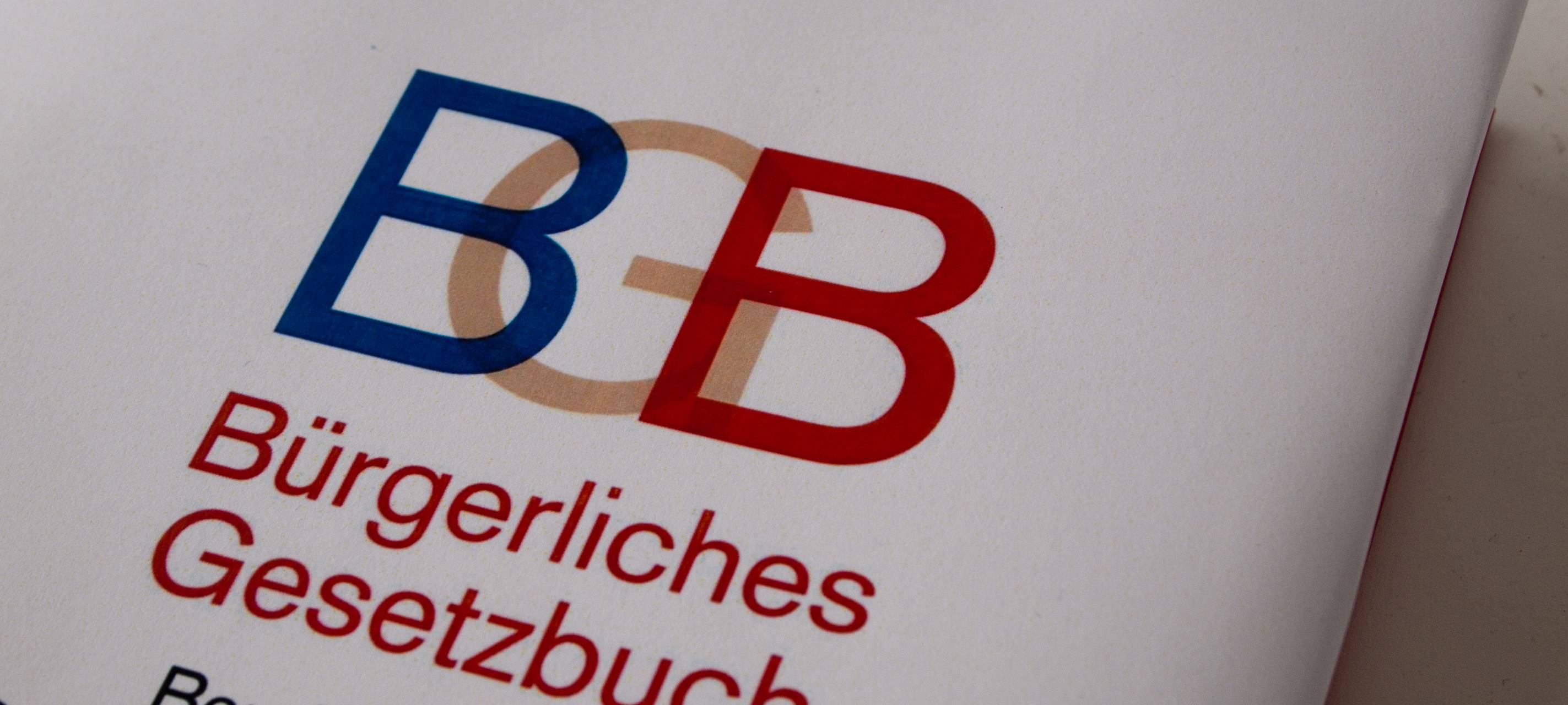 MÜNSTER: Gefängnis für Müllsammler/Kran-Kletterer