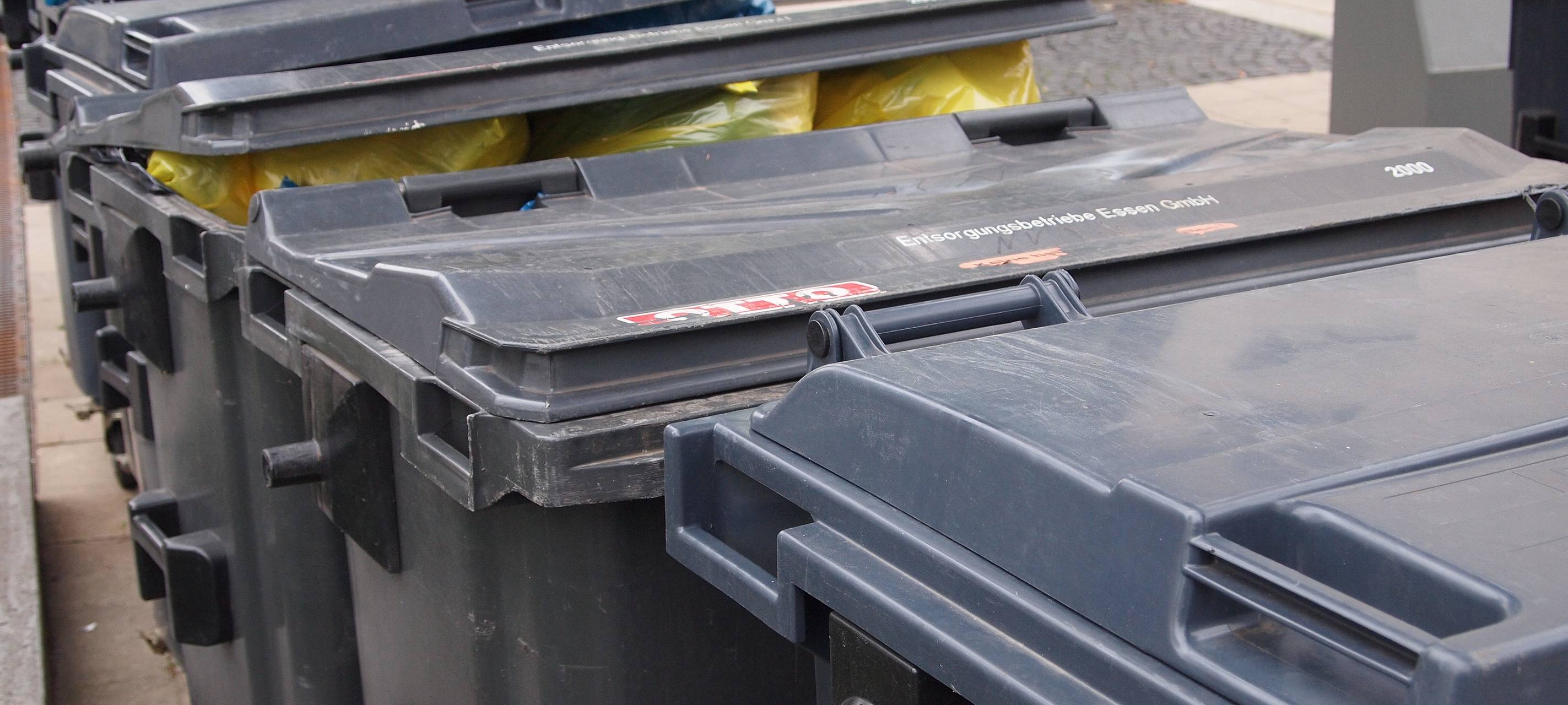 KREIS: Weiter Müllabfuhr-Probleme