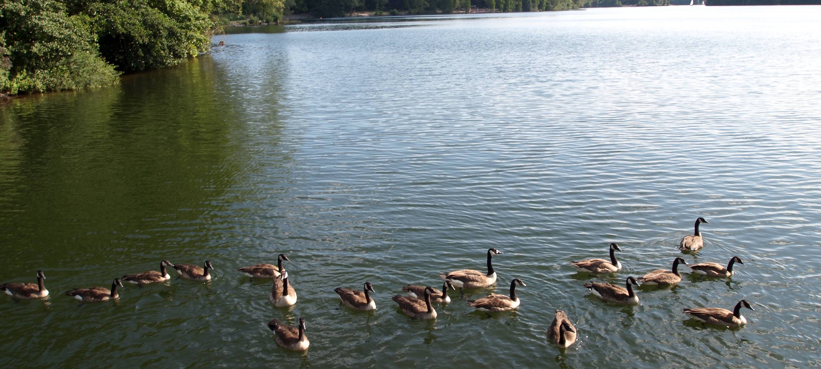 BULDERN: Politpicknick am Bulderner See