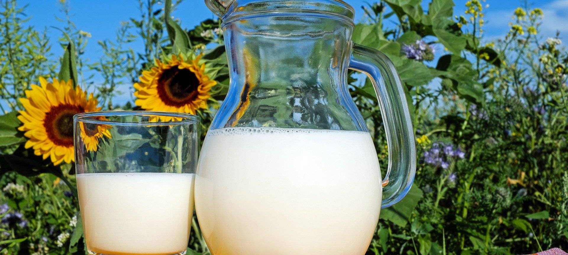 Tag der Milch