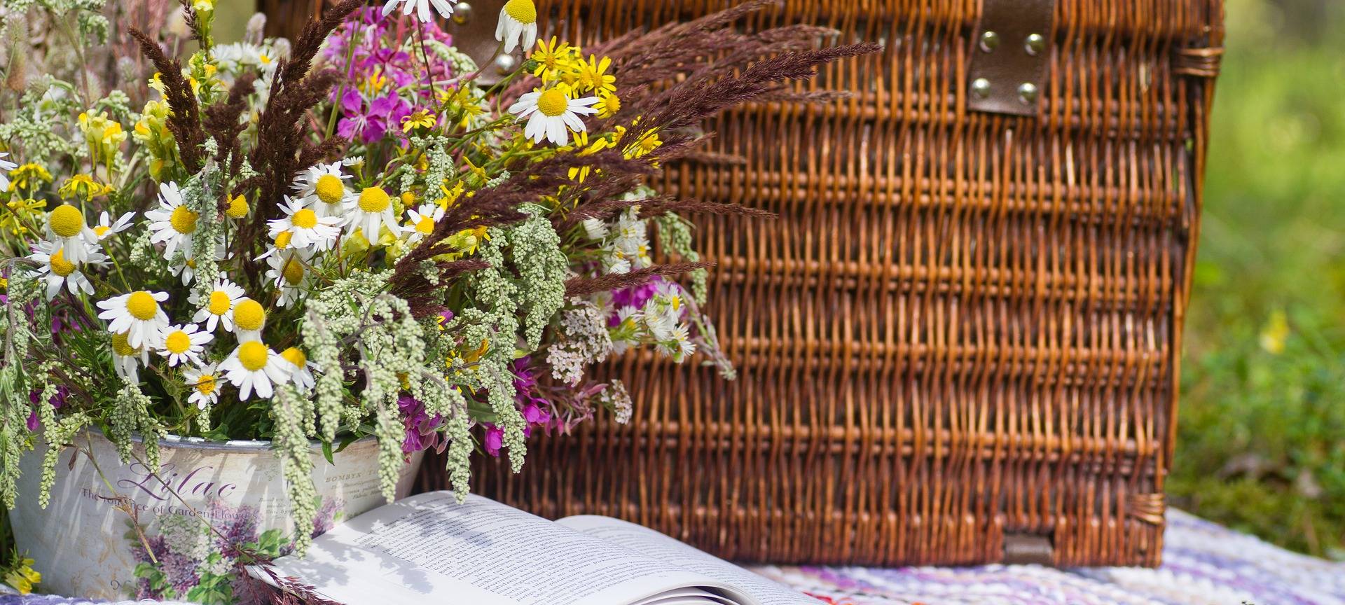 Kultur Picknick am Sandsteinmuseum
