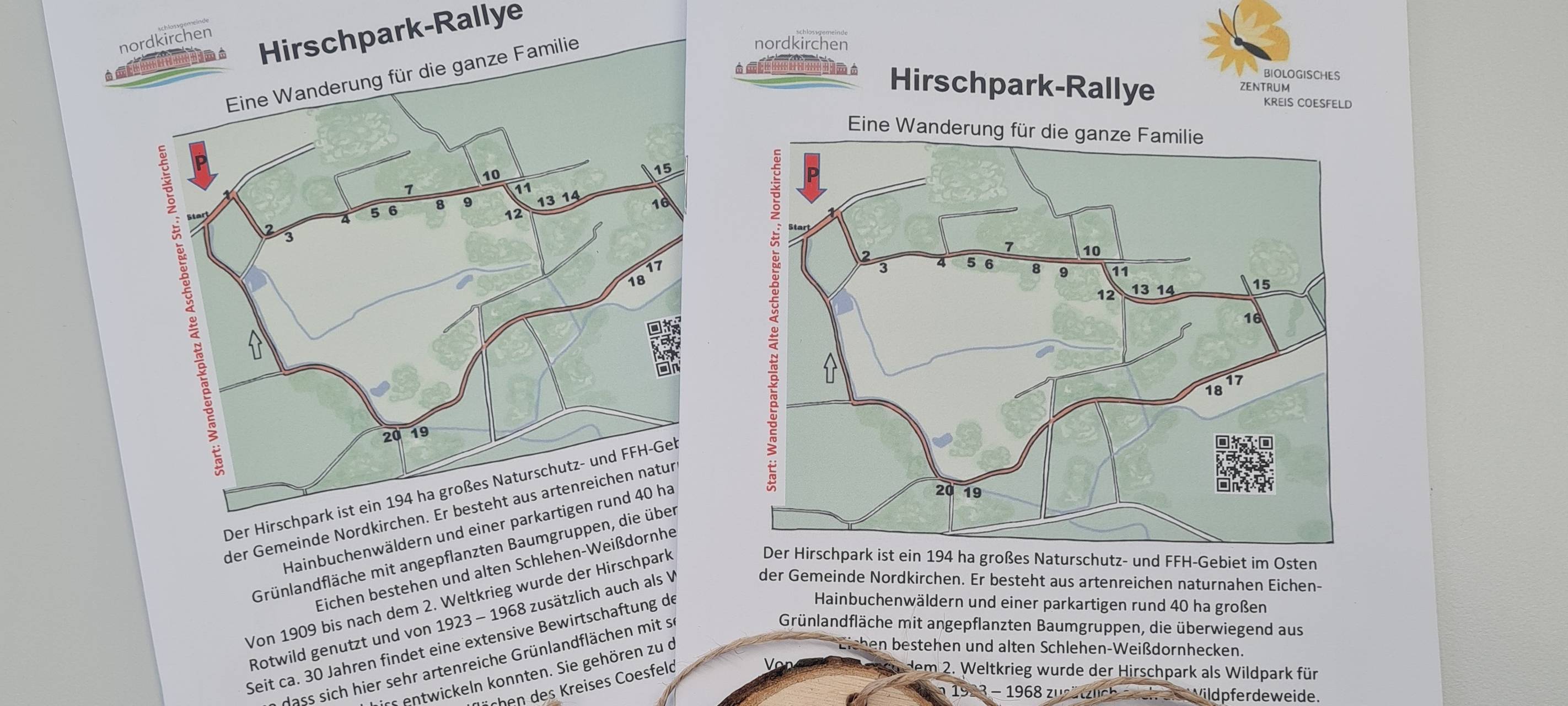 NORDKIRCHEN: Kinder lernen den Wald kennen