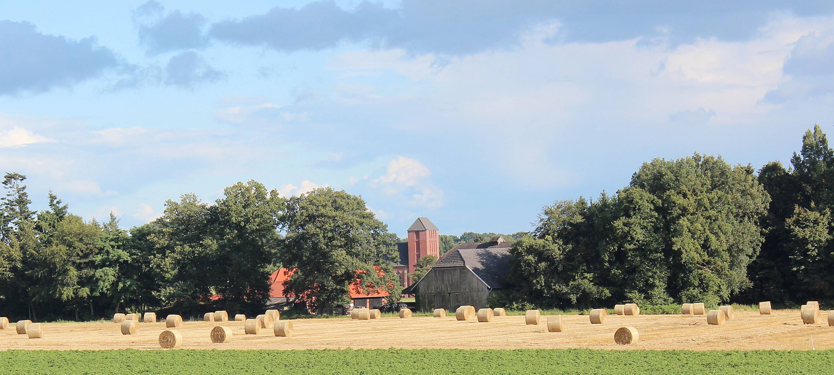 KREIS: Landwirte hoffen auf gute Getreide-Ernte