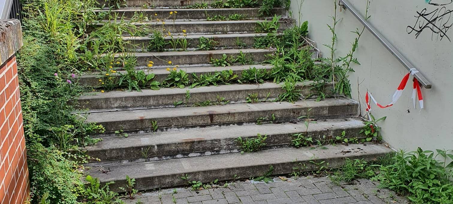DÜLMEN: Ärger über zugewucherte Treppe