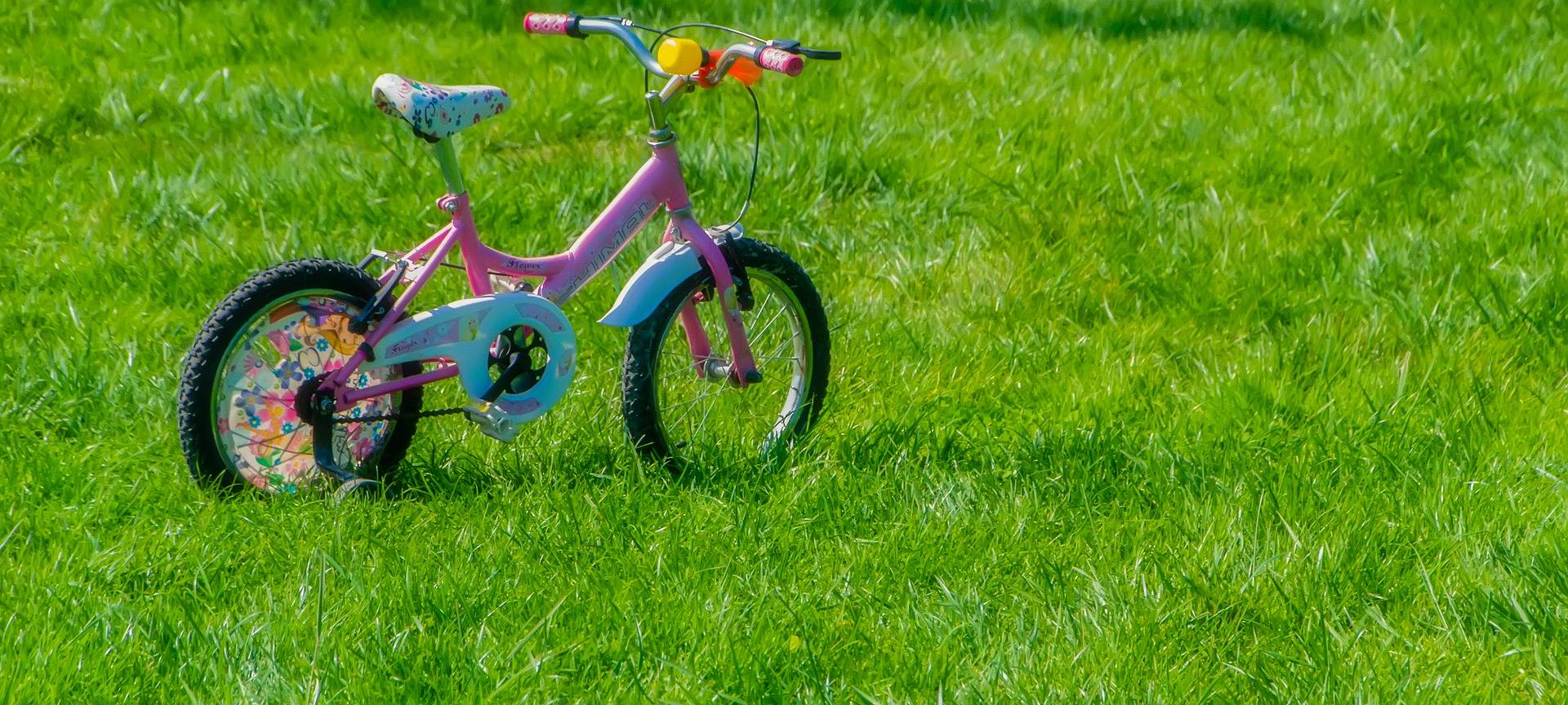 KREIS: 4-Jährige sammelt Spenden