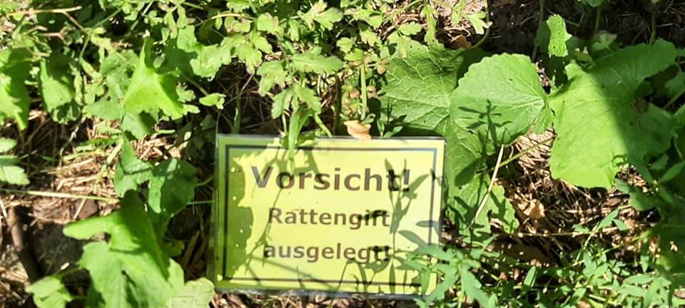 NORDKIRCHEN: Ärger um Rattengift-Schild