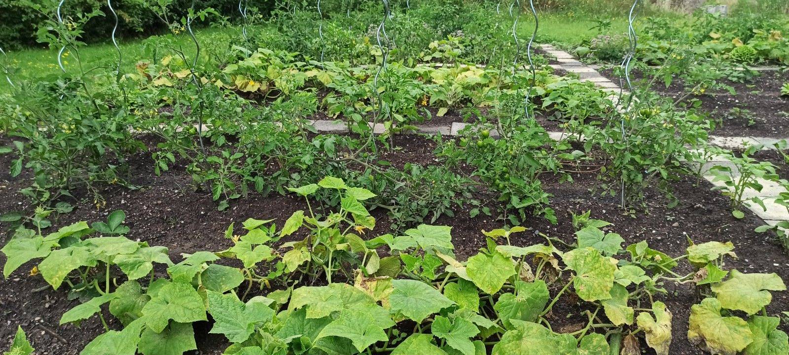 DÜLMEN: Gartenprojekt macht Lust auf Natur
