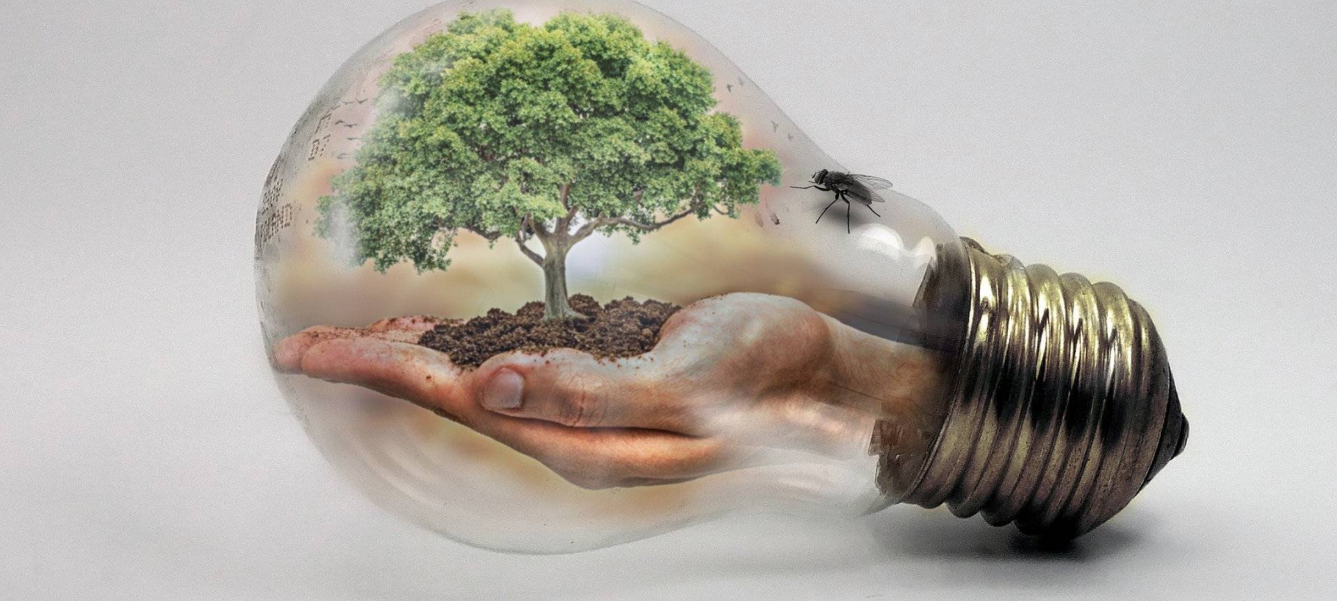 DÜLMEN: Ideen für den Klimaschutz