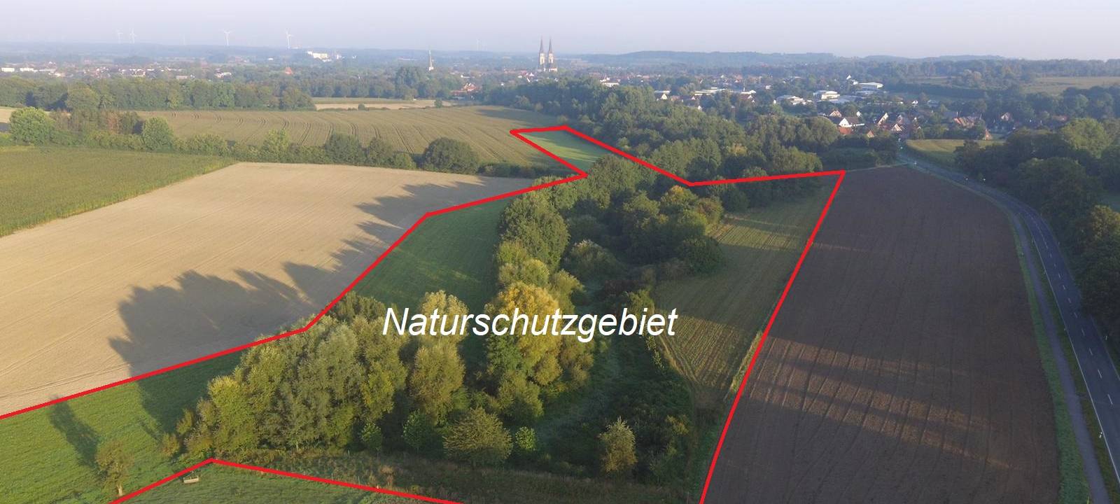 BILLERBECK/NOTTULN: Neues Berkel-Naturschutzgebiet