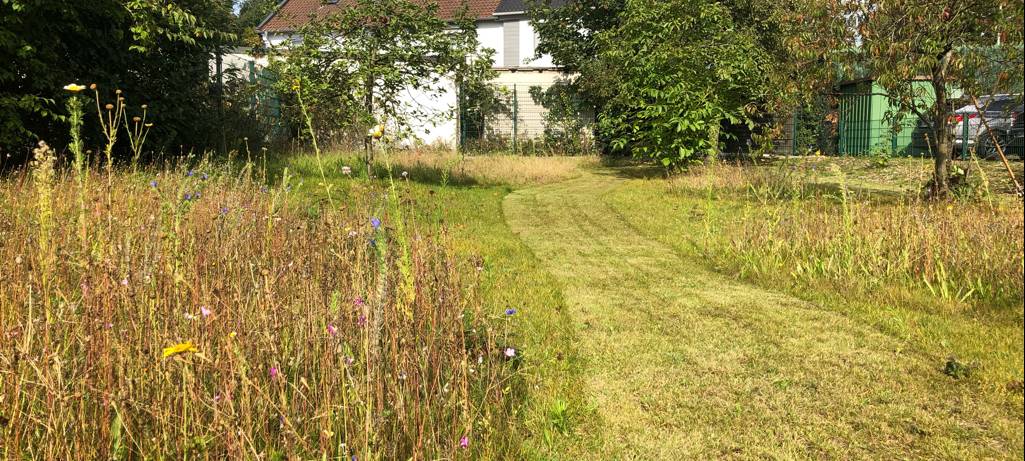 LÜDINGHAUSEN: Naturparadies hinter Polizeiwache