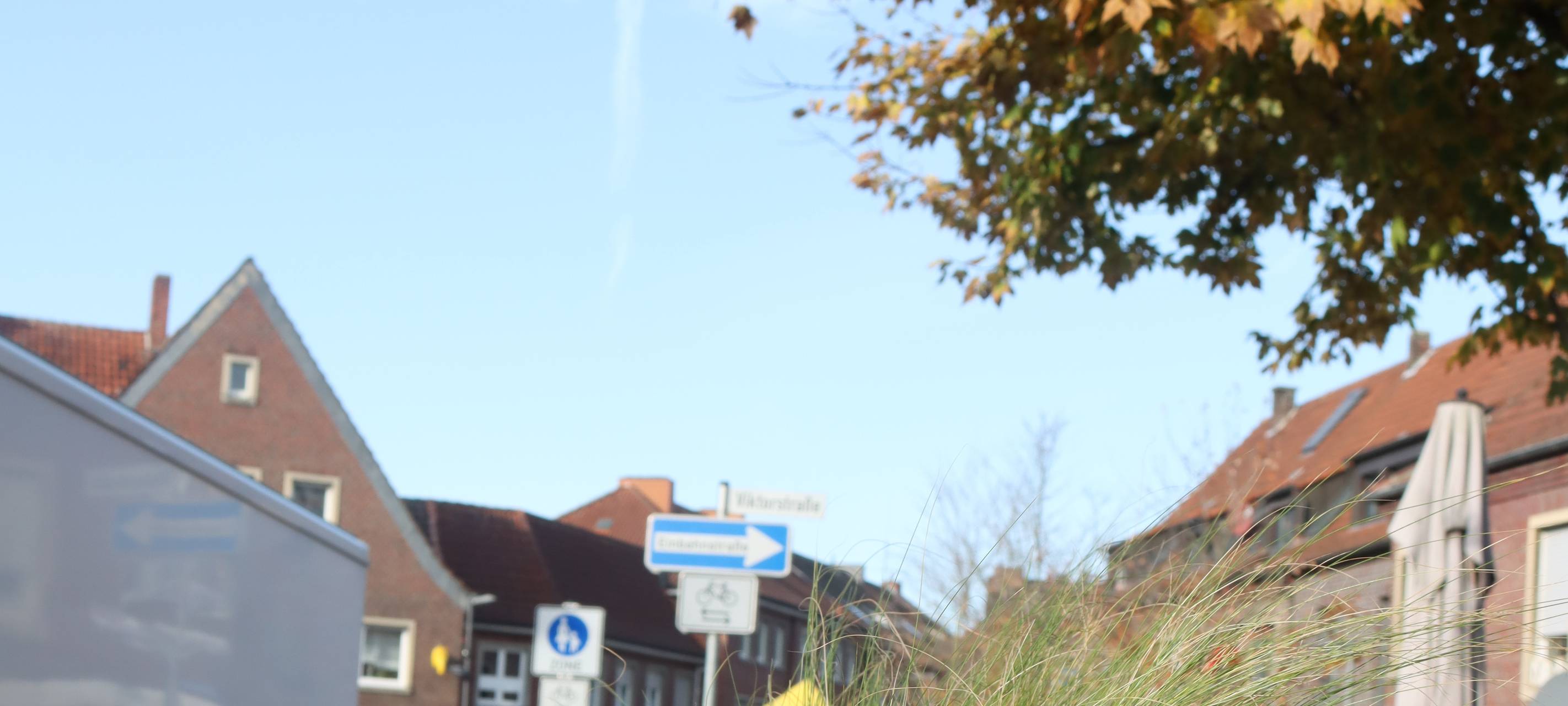 DÜLMEN: Hochbeete in der Innenstadt