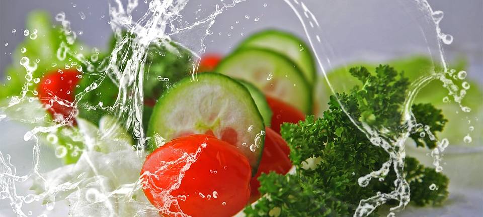 ROSENDAHL: Veggie-Day?