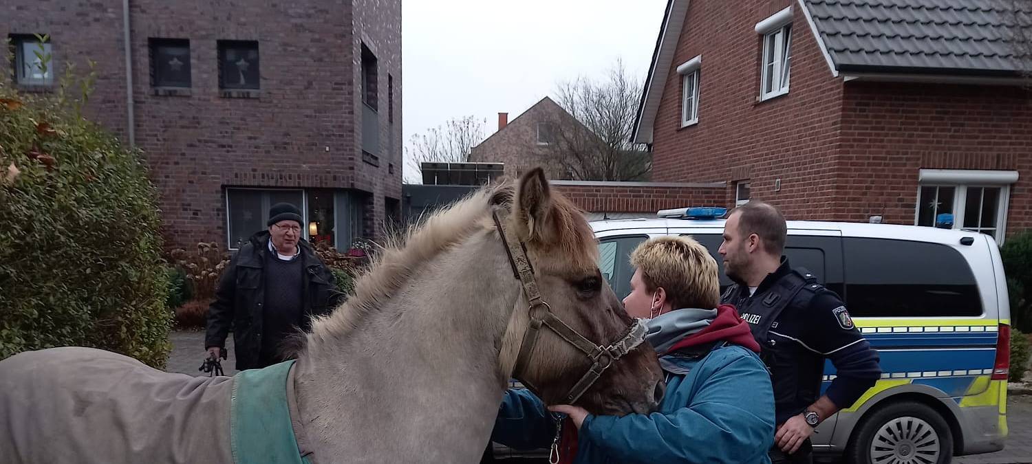 BÖSENSELL: Aufregung um Pony Antonio