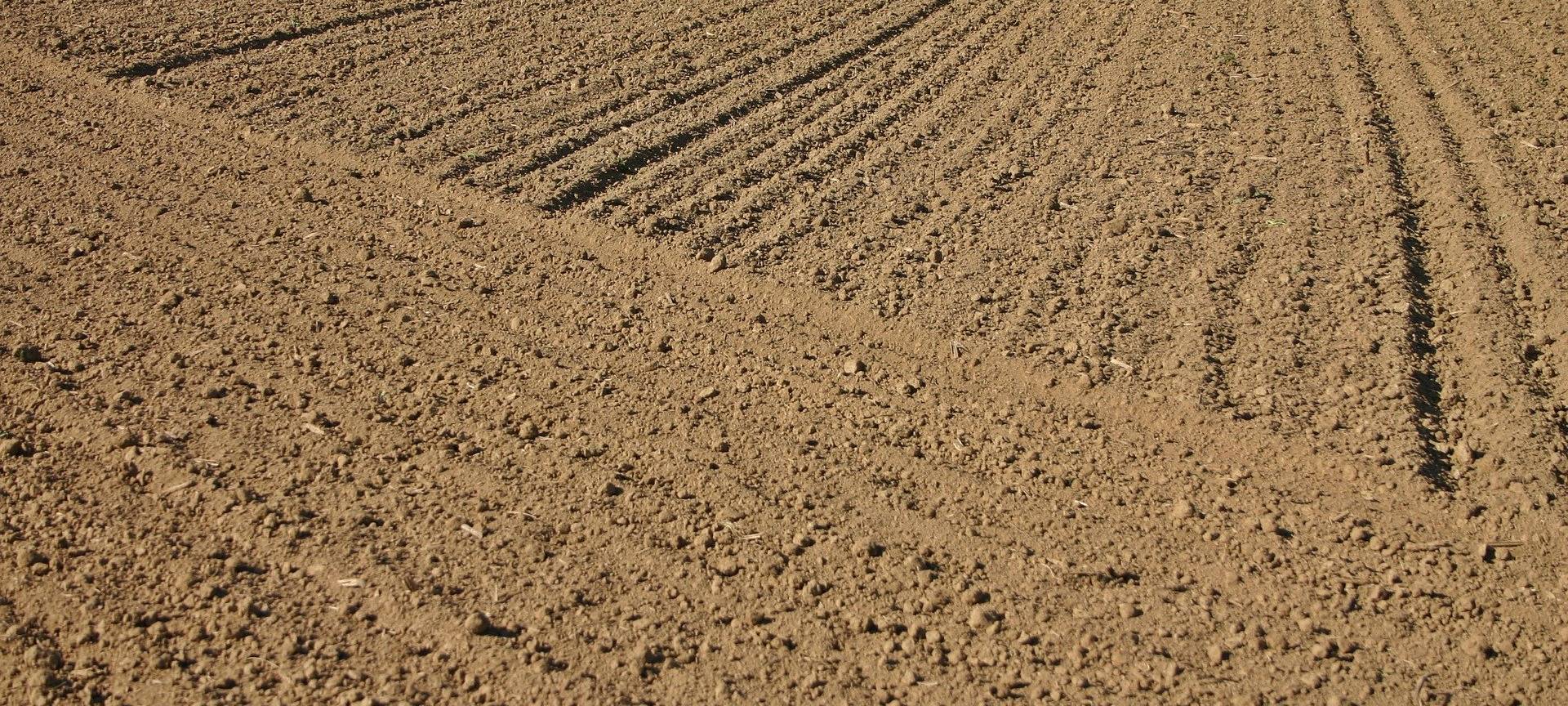 KREIS: Landwirte wappnen sich gegen Dürre