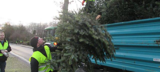 KREIS: Viele Sammelaktionen für Weihnachtsbäume