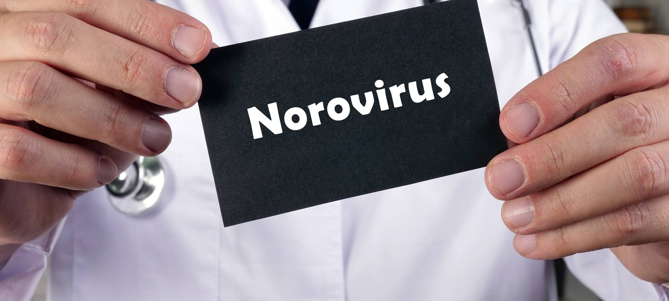 KREIS: Das Norovirus ist zurück