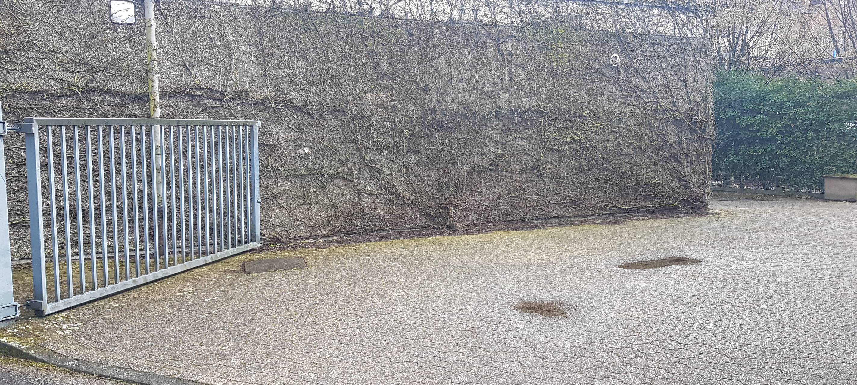 SENDEN: 12 neue Parkplätze am Busbahnhof