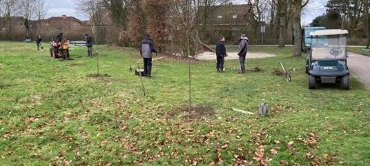 SENDEN: Erste Bäume auf Jubelwiese
