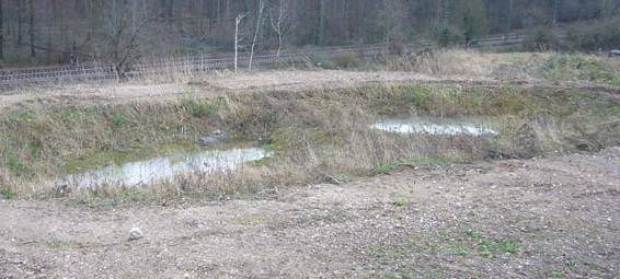 DÜLMEN: IG Rödder klagt nicht