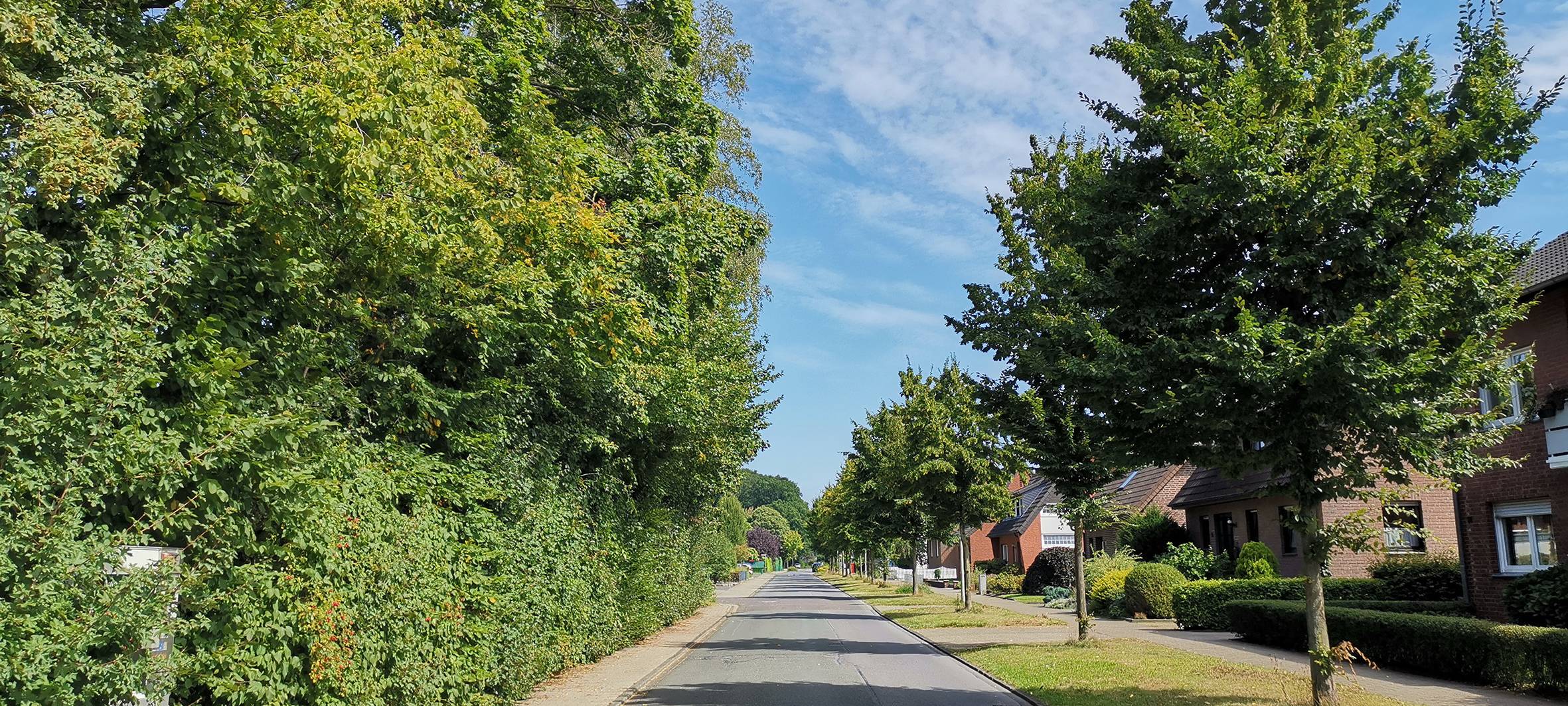 DÜLMEN: Weitere Fahrradstraße