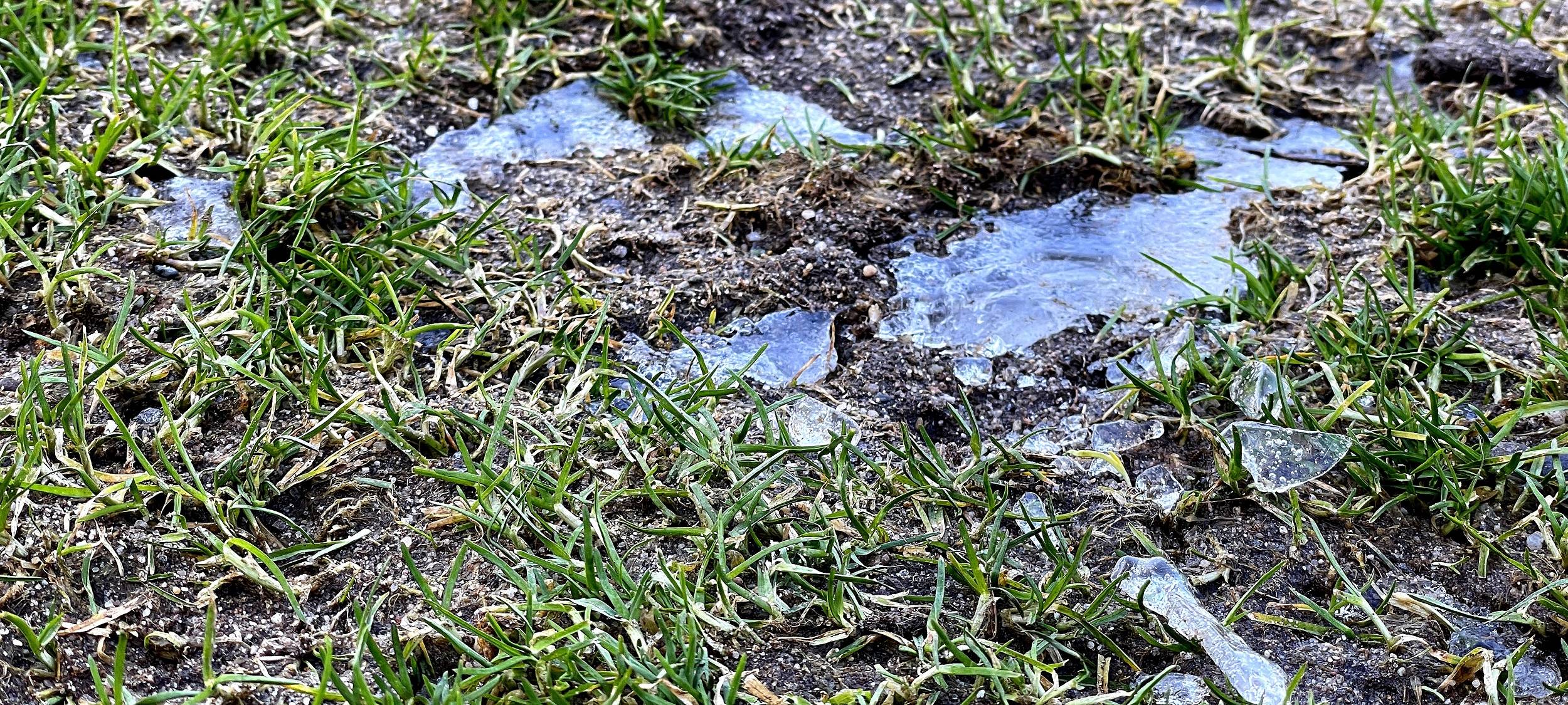 MÜNSTER: Preußen-Spiel abgesagt