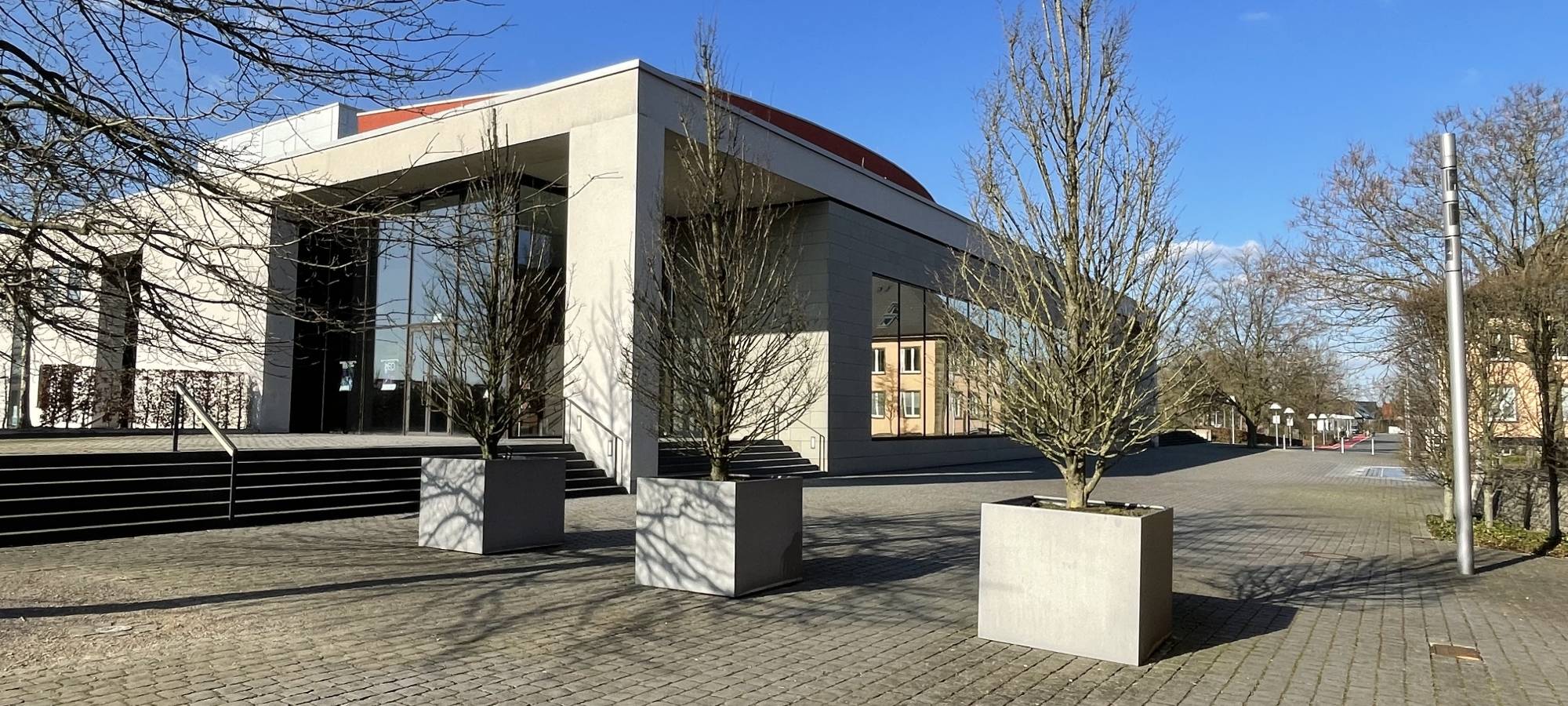 COESFELD: Neue Bäume in der Innenstadt
