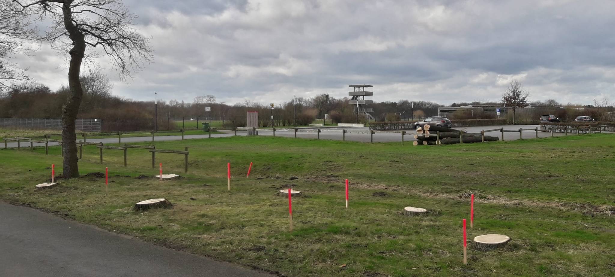 OLFEN: Ärger wegen gefällter Bäume