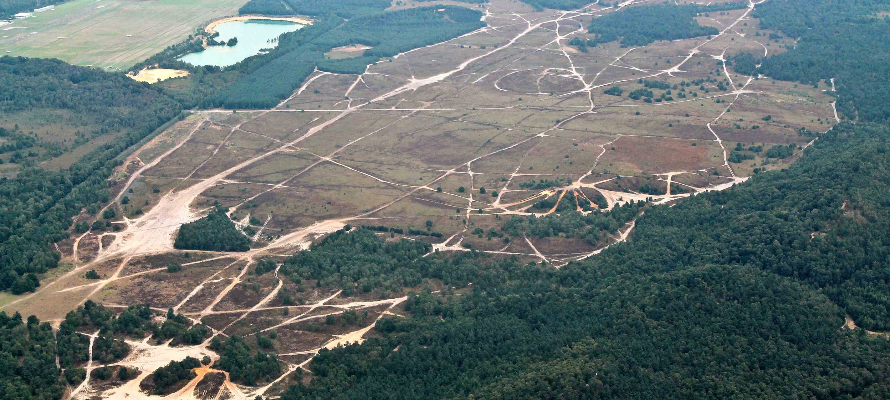 BORKENBERGE: Fällarbeiten im Naturschutzgebiet?!