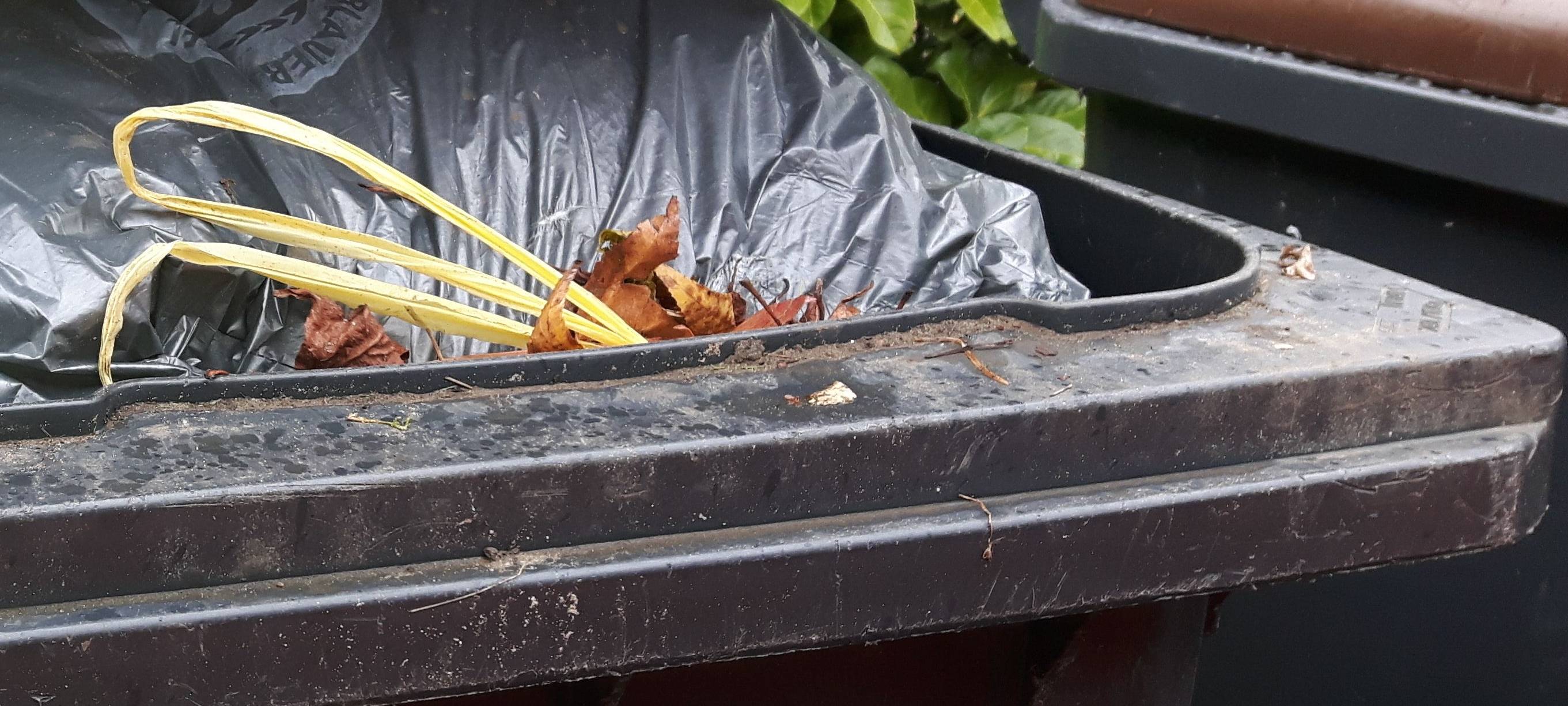 NOTTULN/LÜDINGHAUSEN: Biotonnen-Kontrollen starten