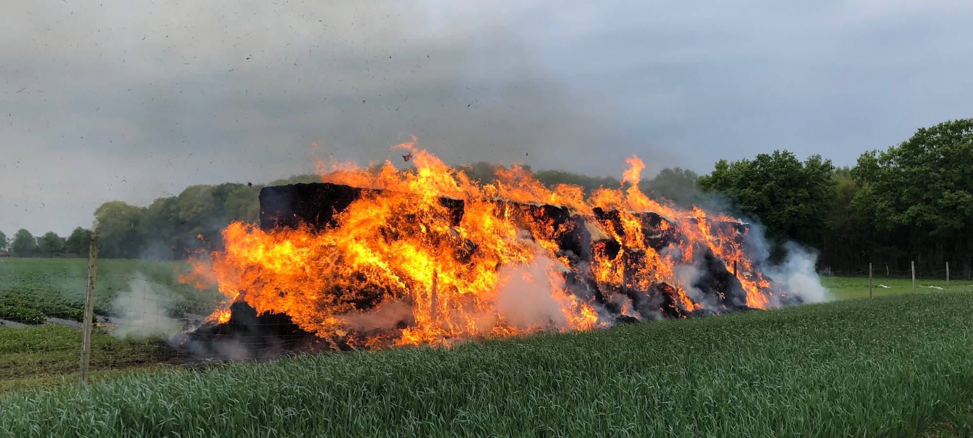 LÜDINGHAUSEN: Erste Hinweise zu Heuballen-Brand